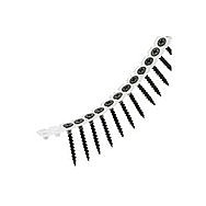 Collated Screws