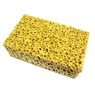 Sponges
