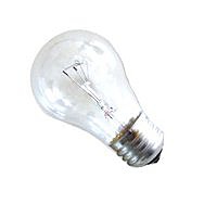 Standard Light Bulbs