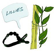 Plant Ties & Labels