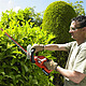 Black &amp; Decker GTC1850L Cordless Hedge Trimmer 18 Volt Hedge Cutter Includes 2 Batteries