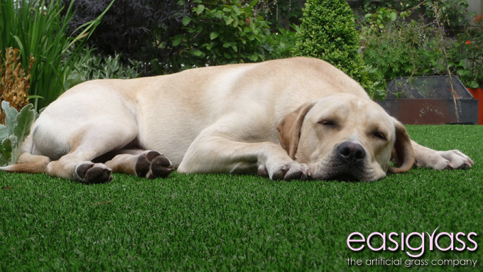 Easigrass Artificial Grass