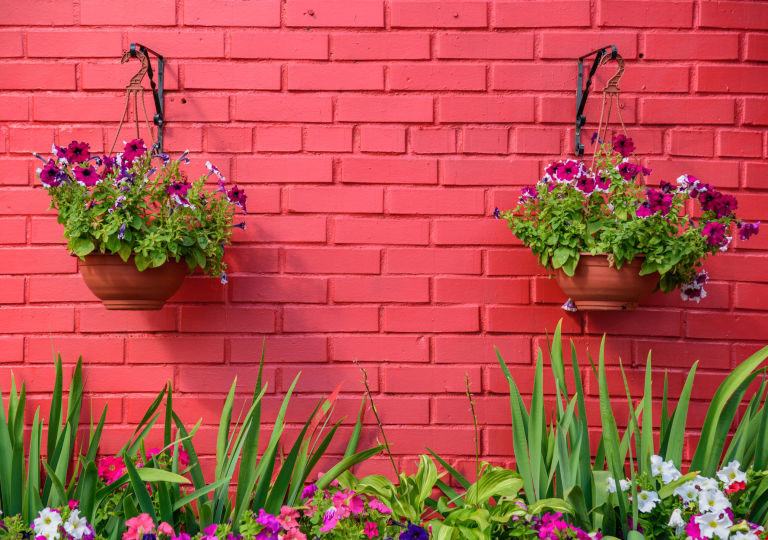 Flowerbed Backdrop