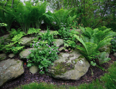 Bouldered Garden