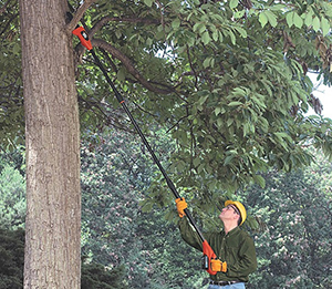 Mini Chainsaw