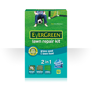 Lawn Repair Kit
