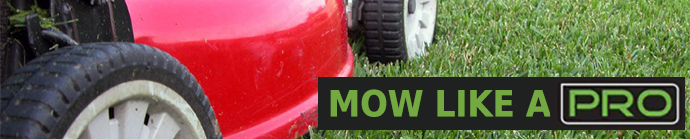 Mower, Mower, Mower!